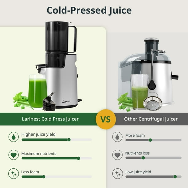Best Juicer Breville Juicer Masticating Breville Types Of Juicers