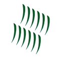 thumbnail image 4 of ZheElen 12pcs 3inch Archery Turkey Feathers Fletchings Vanes Dark Green 3 Inch 5Set, 4 of 6