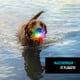 thumbnail image 5 of Pelota LED Nite Ize GlowStreak de juguete para perros, impermeable y recargable, 5 of 9