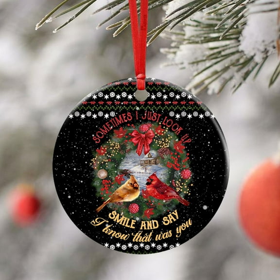 Flagwix Ceramic Christmas Tree Ornaments| I Know That Was You Red Birds Hanging Ornament With Ribbon|Christmas Gifts - Circle, 1 Pcs