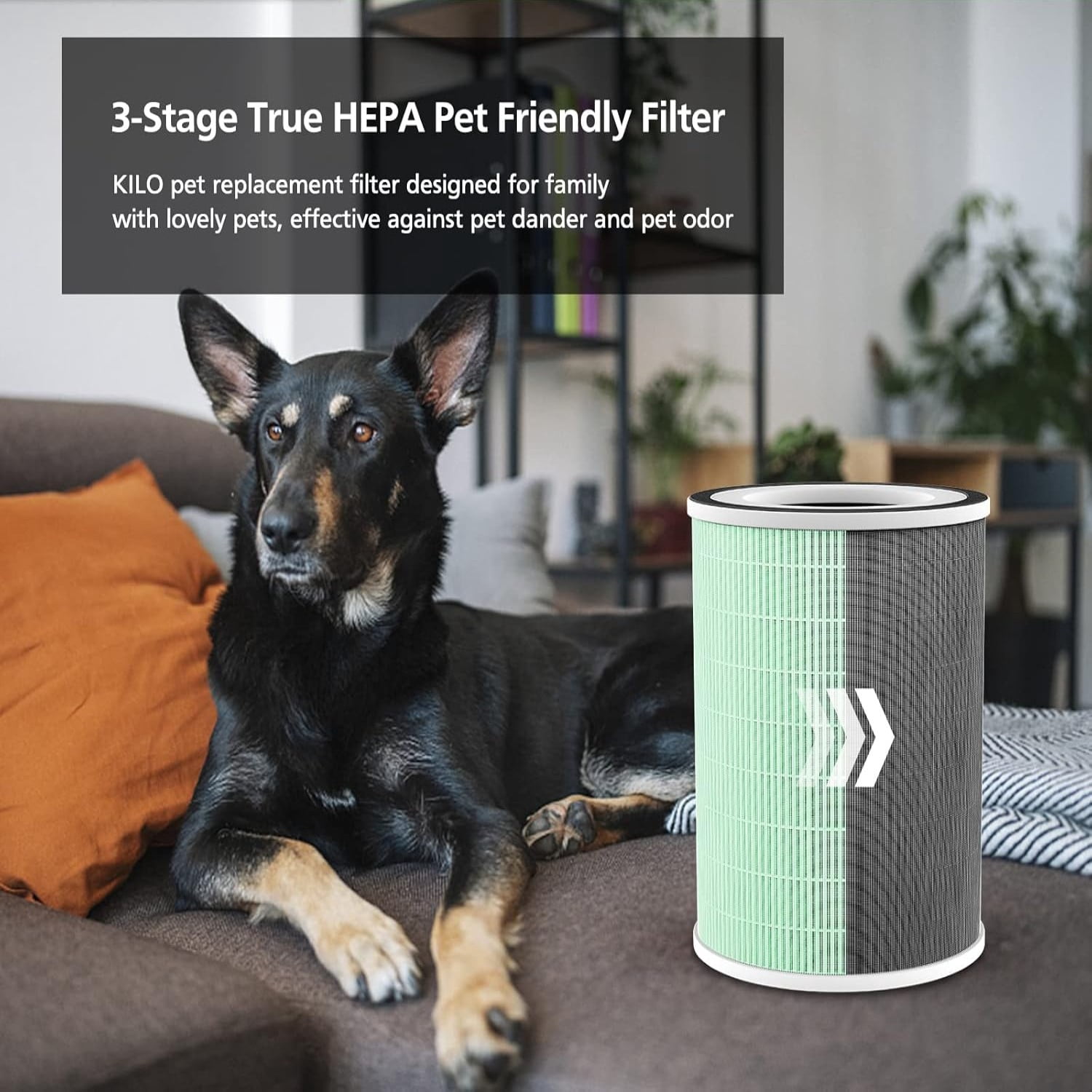 2-Pack True HEPA H13 Pet Air Purifier Filters for Afloia KILO, KILO PRO, MIRO, MIRO PRO & Kalo, 360° 4-Stage Filtration, Allergy Defense, Odor Eliminator