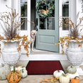 thumbnail image 2 of Door Mat - Welcome Mats for Front Door - 30x18 Entryway Rug - Front Door Mat - Door Mats for Outside Entry - Non-Slip Welcome Mat - Burgundy Doormat, 2 of 8