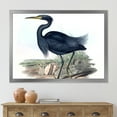 thumbnail image 3 of Designart 'Ancient Australian Birds III' Traditional Framed Art Print, 3 of 4