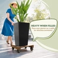 View all media