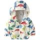 thumbnail image 1 of Bebé niños otoño manga larga dinosaurio sudadera con capucha ropa de abrigo para niños pequeños Xemadio CJWUS-4637, 1 of 1