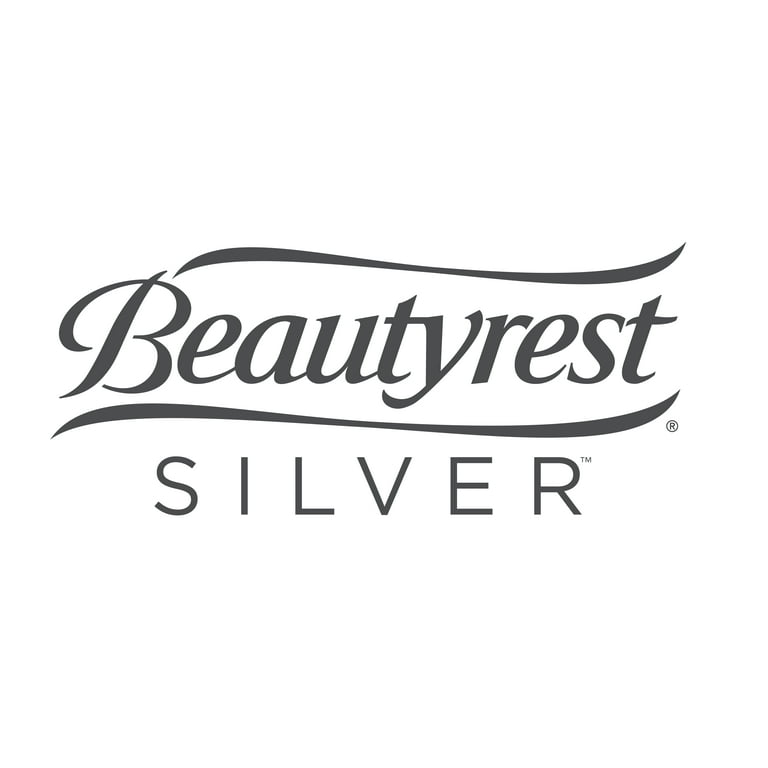 Beautyrest® Cushion Aire™ 20 Queen Air Mattress with Built-in Pump -  Costless WHOLESALE - Online Shopping!