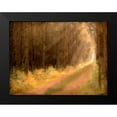 thumbnail image 2 of Allen, Kimberly 24x19 Black Modern Framed Museum Art Print Titled - Road To Enlightenment, 2 of 5