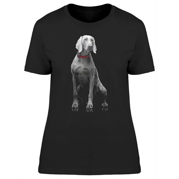 Cute Weimaraner Sitting T-Shirt Women -Image by Shutterstock, Female Large