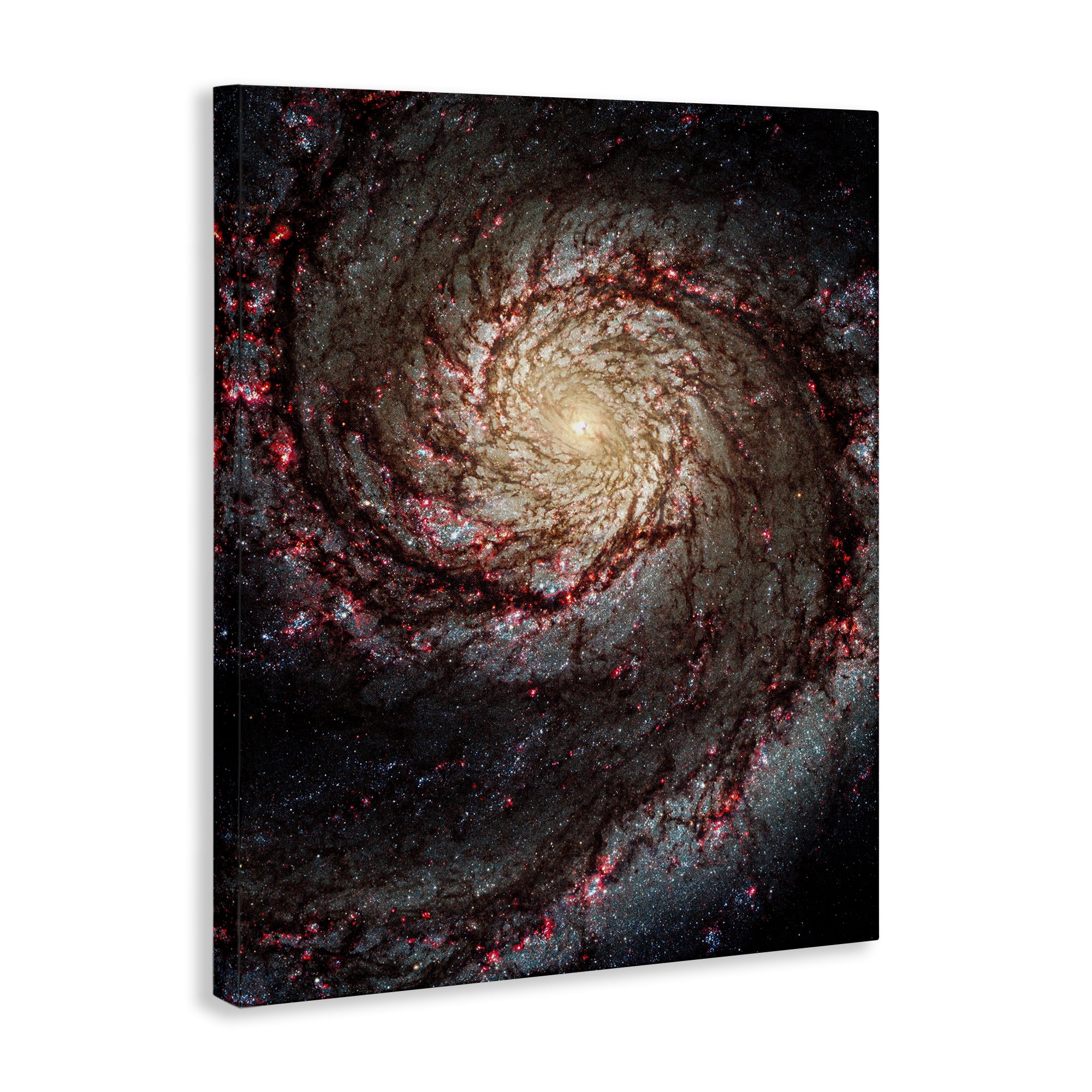 Stupell Industries Great Beyond Nebula Animals & Insects Photography Gallery Wrapped Canvas Art Print Wall Art, 30 x 40