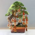 thumbnail image 4 of 16 Sets Fortune Coins, Topboutique Feng Shui Coins, Chinese Lucky Coins with Red String, Good Fortune Coins, Good Luck Ornaments Decorations for Wealth and Success, Chinese Lunar New Year Gift, 4 of 7