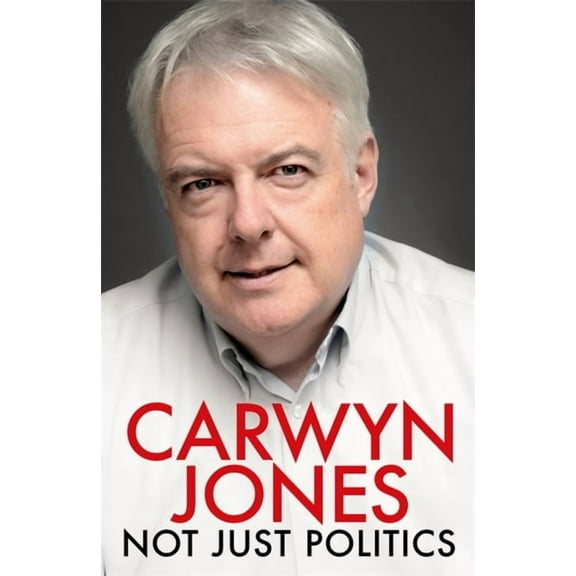 Not Just Politics (Paperback)