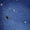 Dark Indigo, variant on Madden NYC Women’s Grommet Mini Skort, Sizes XXS-XXL