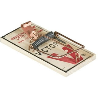 Victor Pest Tin Cat Gray See-Thru Live Catch Mouse Trap
