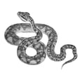 thumbnail image 3 of CafePress - Bushmaster White T Shirt - Men's White Classic Cotton T-Shirts, 3 of 4