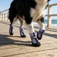 thumbnail image 6 of 4PCS Breathable Dog Shoes Waterproof Non Slide Night Suitable for Small Medium and Large Dogs Boots for Daily Walking, 6 of 6
