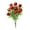 D, variant on BNNG Artificial Potted Plants 13.4 inches Fake Orange Lemon, peach, apple, pomegranate Tree Artificial Citrus Fruit Plant Faux Plants Indoor for Home,Office, Living Room Table,Without bottles