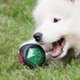thumbnail image 4 of Molares Pelota de goma luminosa para mascotas que brilla intensamente, juguete de entrenamiento para cachorros Ndcxsfigh Libre de BPA, 4 of 7