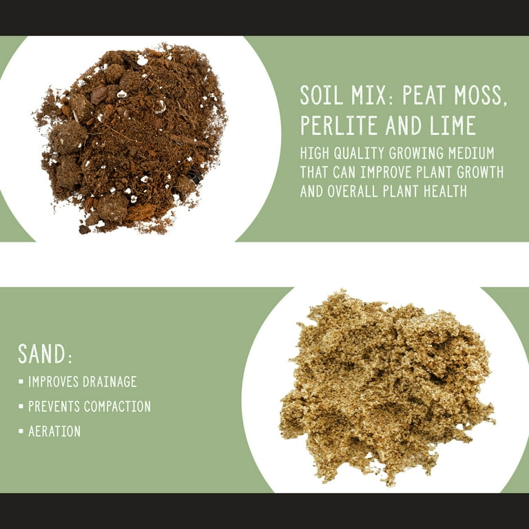 Soil Sunrise Hand-Blended Aloe Vera and Indoor Cactus Potting Soil Mix (2  Quarts) - Walmart.com