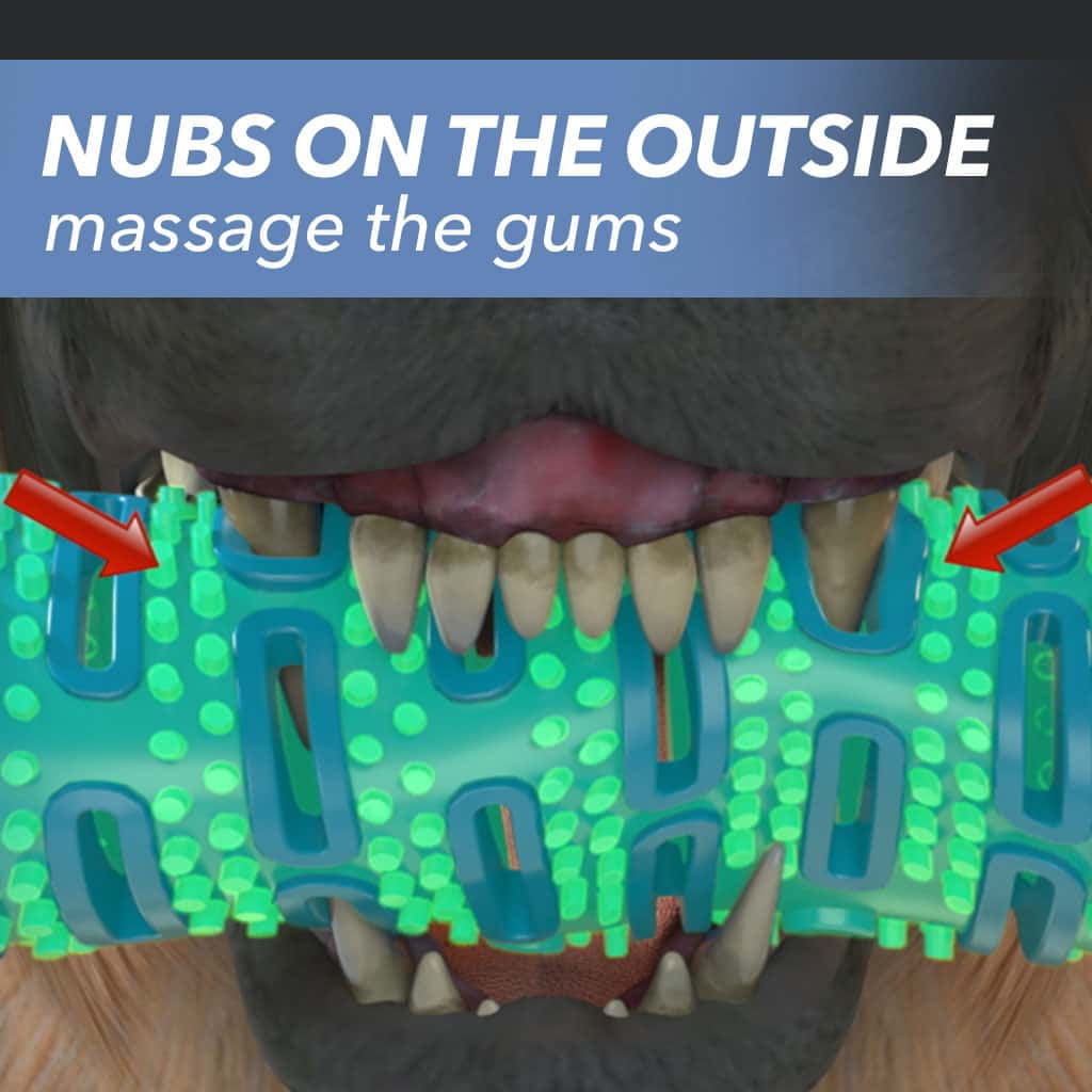 Getchewbrush online