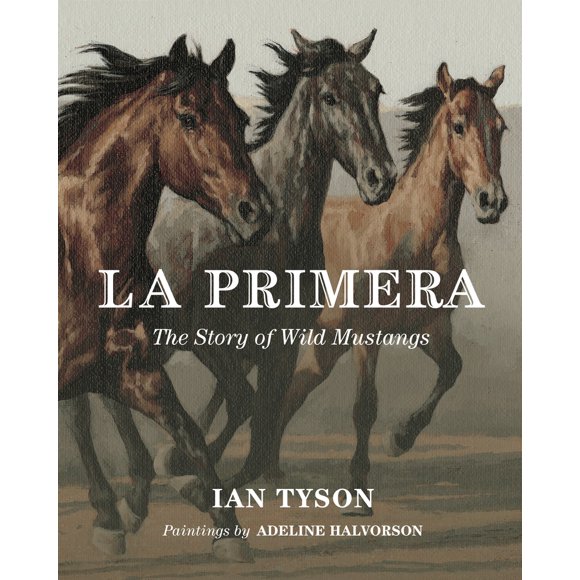 Pre-Owned La Primera: The Story Of Wild Mustangs (Hardcover) 0887768636 9780887768637
