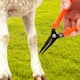 thumbnail image 4 of Recortador De Pezuñas Para Cabras. Cortauñas Práctico Para Ganado (burros, Alpacas)., 4 of 7