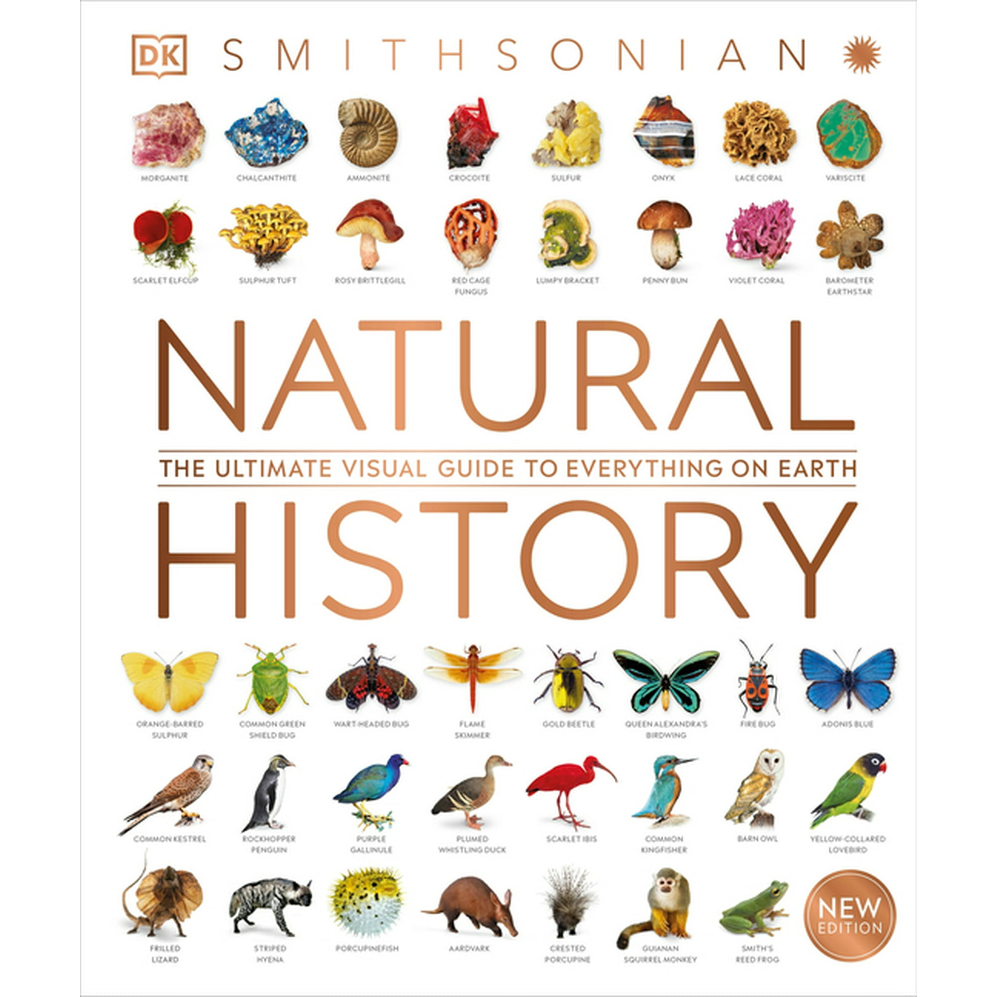 DK Definitive Visual Encyclopedias Natural History, (Hardcover)