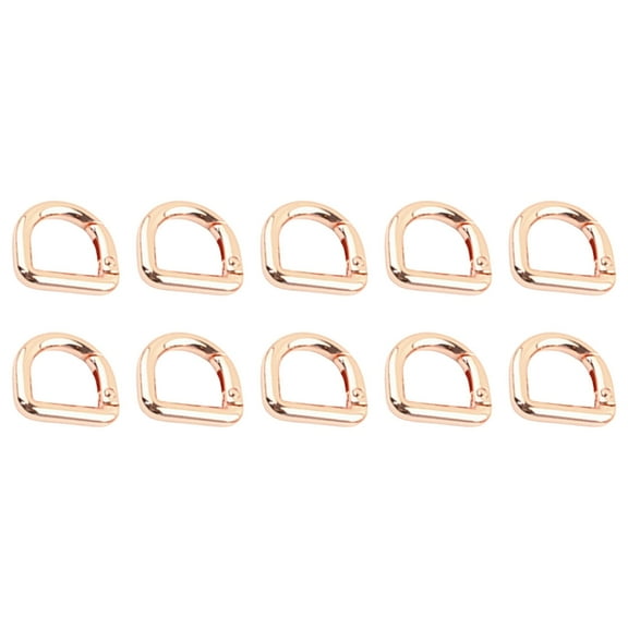 10 Pcs D Rings Spring Key Hooks Keyring Clip Buckles Clasps Clamps Metal Keychain Clip Carabiner Clip for Belt Backpacks
