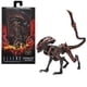 thumbnail image 1 of ALIENS: FIRETEAM ELITE - FIG - SERIES 1 PROWLER ALIEN NECA NECA Neca, 1 of 3