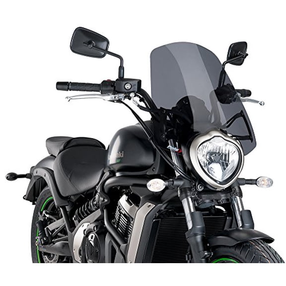 PUIG 8164F WINDSCREEN NAKED N.G. DARK SMOKE
