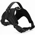 thumbnail image 2 of Walbest Adjustable Pet Dog Harness with Metal Ring and Easy Control Handle for Small Medium Large Dogs, Black, XL, 2 of 7
