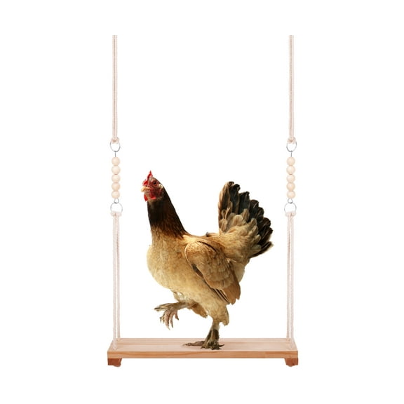 QBLEEV Chicken Swing Toy for Coop Natural Safe Wooden Accessories Large Durable Perch Ladder for Poultry Run Rooster Hens Chicks Pet Parrots Macaw Entertainment Stress Relief for Birds