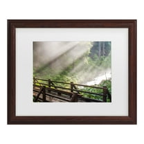 Trademark Fine Art 'Forest Sunlight' Canvas Art by Pierre Leclerc