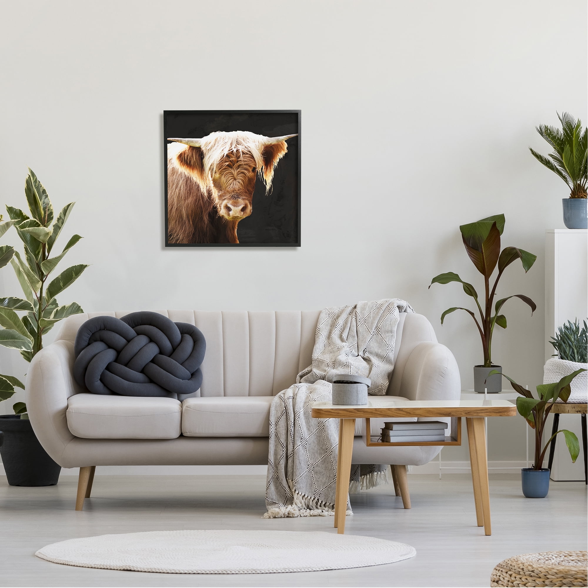 Stupell Industries Brown Wooly Cattle Animals & Insects Photography Black Framed Art Print Wall Art, 24 x 24