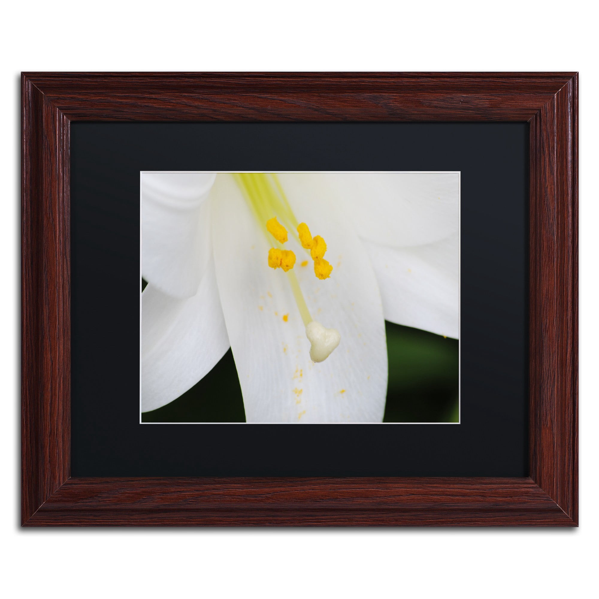 Trademark Fine Art "Adore You" Canvas Art by Monica Mize, Black Matte, Wood Frame