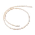 thumbnail image 2 of Natural Freshwater Shell Beads Strands Dyed Rondelle Floral White 3x2mm Hole: 0.5mm about 183~186pcs/strand 14.96''(38cm), 2 of 4