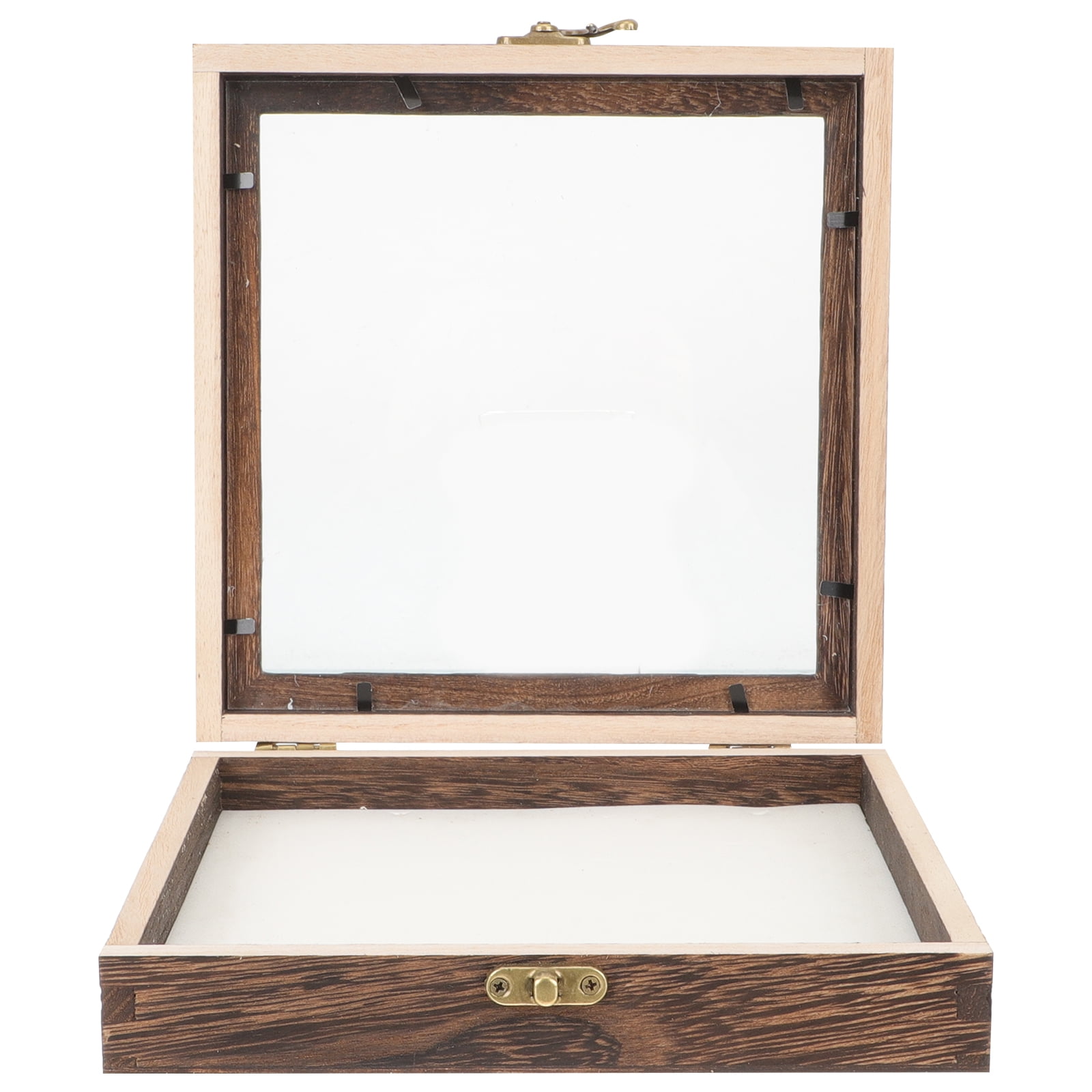 Frcolor Wooden Insect Specimen Display Case Protective Specimen Storage