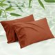 thumbnail image 1 of Juego de 2 Fundas de Almohada Bedsure King Size de Bambú con Rayón Fresco, 1 of 9