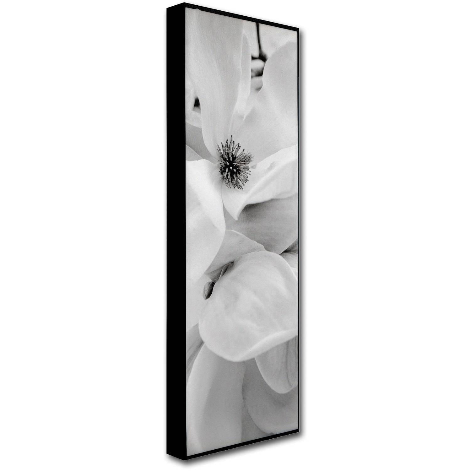 Trademark Fine Art "Magnolia I" Canvas Art by Alan Blaustein