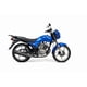 thumbnail image 2 of Motocicleta de Trabajo Haojue Dm150 Azul 2026, 2 of 8