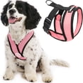 thumbnail image 1 of Arnés Gooby Comfort X Head en rosa para perros pequeños, 1 of 6