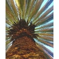 thumbnail image 2 of Tenoever, William 26x31 White Modern Wood Framed Museum Art Print Titled - Palm, 2 of 4