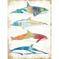 thumbnail image 2 of Villa, Milli 25x32 White Modern Wood Framed Museum Art Print Titled - Colorful Sea Life, 2 of 4