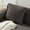 brown, variant on Nvzi Decorative Pillow for Couch, Throw Pillows 30x50CM,light green Throw Pillow Set with Polyester Cover & PP Cotton Filling, 2 Pieces for Home Decor, Soft & Stylish