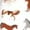 White, variant on Horses Print Adult Socks for Men & Women,Calf Socks, Ankle Socks,Boots Socks,Breathable Casual Sock,Unisex Crew Socks