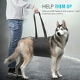 thumbnail image 6 of LNKOO Dog Support & Rehabilitation Harness - Padded Slings with Leash for Control & Comfort - Help Old or Disabled Pets Up Stairs, Lift into Vehicle | Canine Knee, Hip or Back Surgery Recovery, 6 of 8