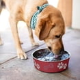 thumbnail image 4 of Cuenco de agua para perros Loving Pets Bella Bowls de acero inoxidable, 4 of 7