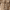 Dusky Taupe, variant on Terra & Sky Women's Plus Size Long Sleeve Mini Peasant Dress