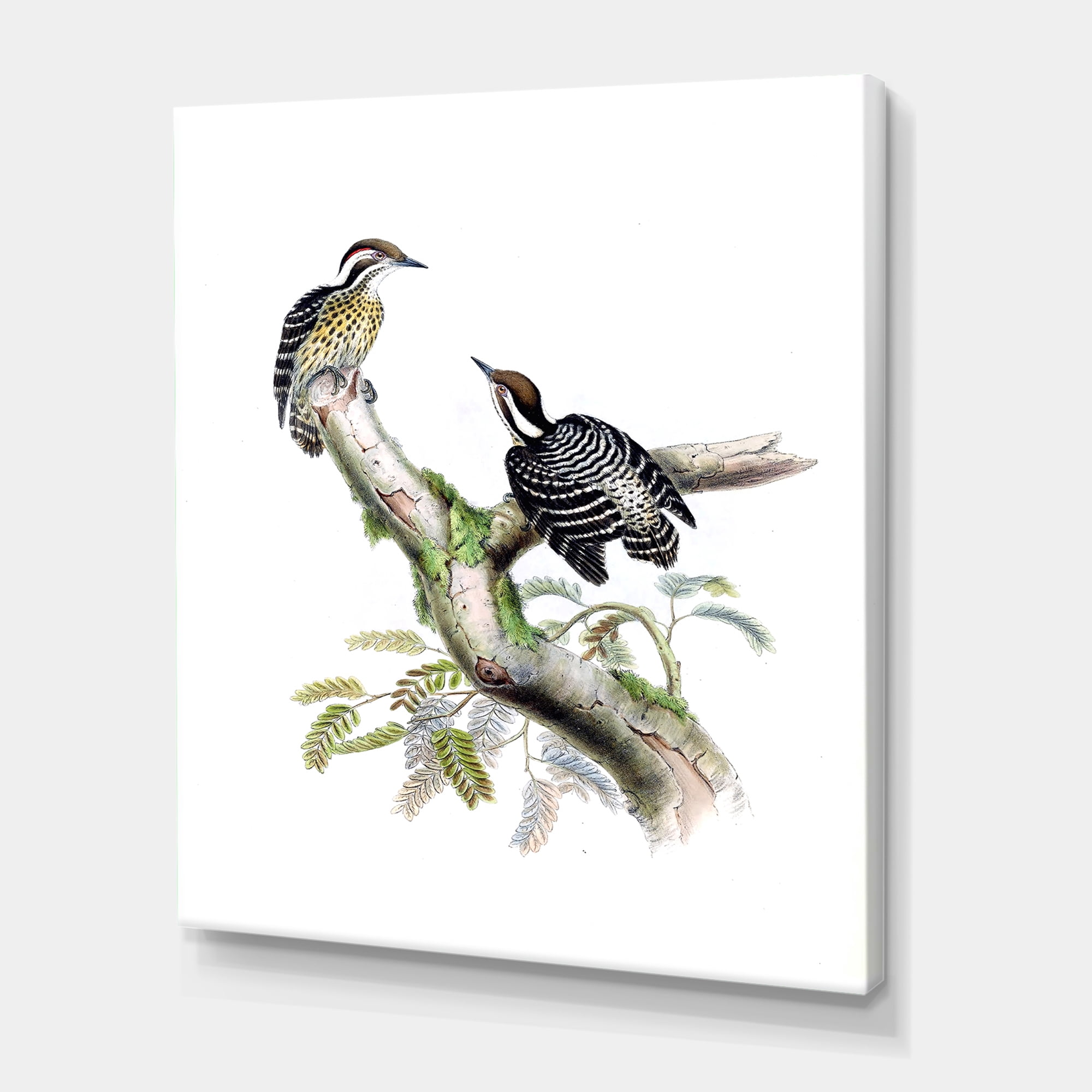 Designart ' Ancient Birds In The Wild VIII ' Traditional Canvas Wall Art Print