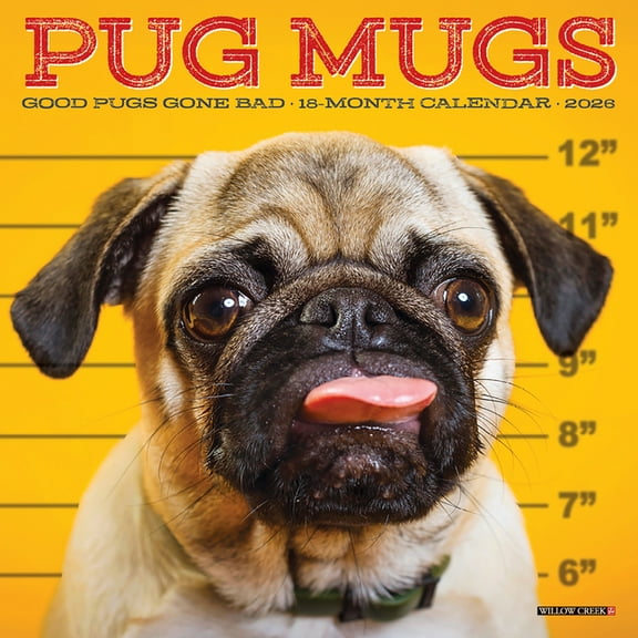 Pug Mugs 2026 Mini Wall Calendar, (Paperback)