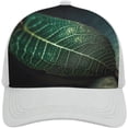 thumbnail image 1 of Light Through Leaves Baseball Cap Classic Golf Cap Soft Dad Hat Multicolor Adjustable Low Profile Hat Unisex, 1 of 6